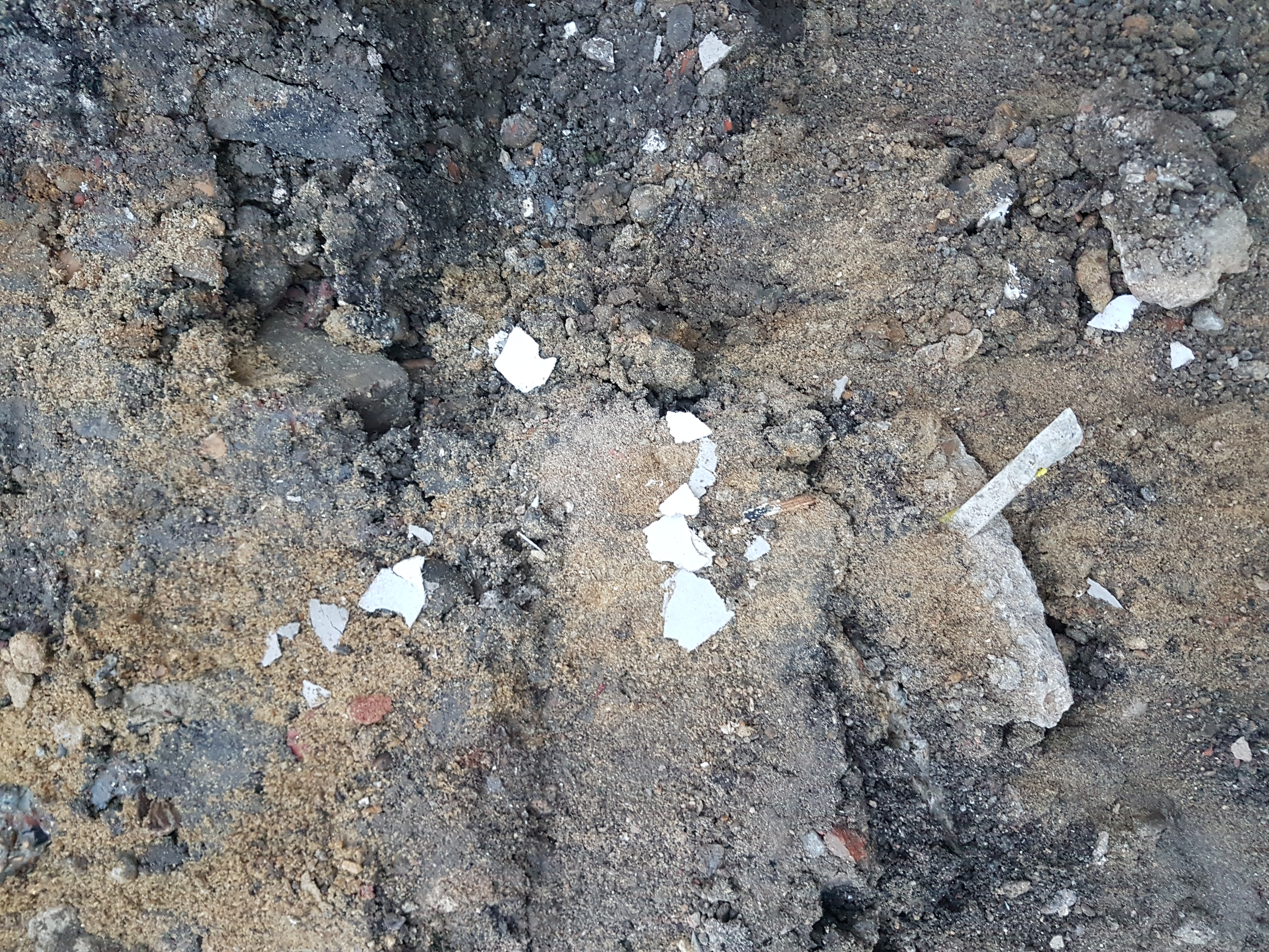 Asbestos Litter Picking example in soil