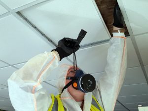 Asbestos Management Survey