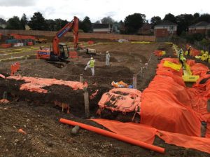 contaminated land remediation